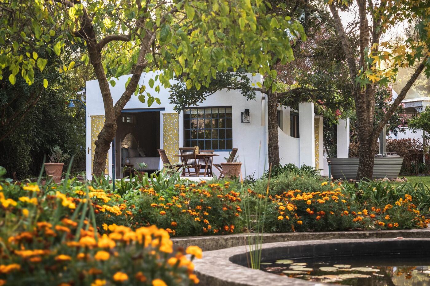 The cottage at golden hour, marigolds in the foreground